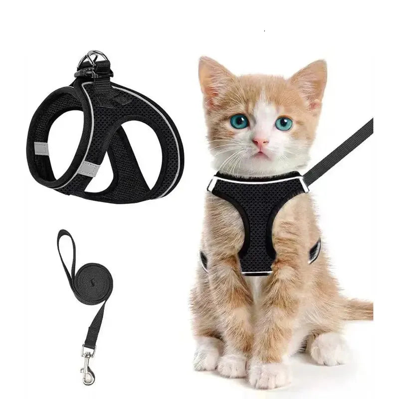 Adjustable Mesh Cat & Small Dog Harness and Leash Set