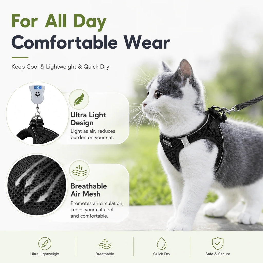 Adjustable Mesh Cat & Small Dog Harness and Leash Set