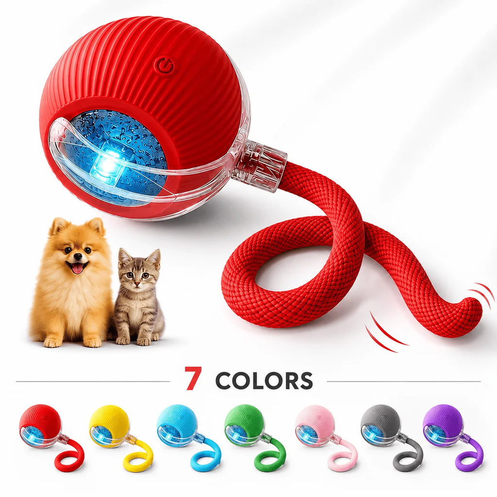 Interactive Rolling Ball for Dogs & Cats – USB Rechargeable Motion-Activated Light-Up Toy