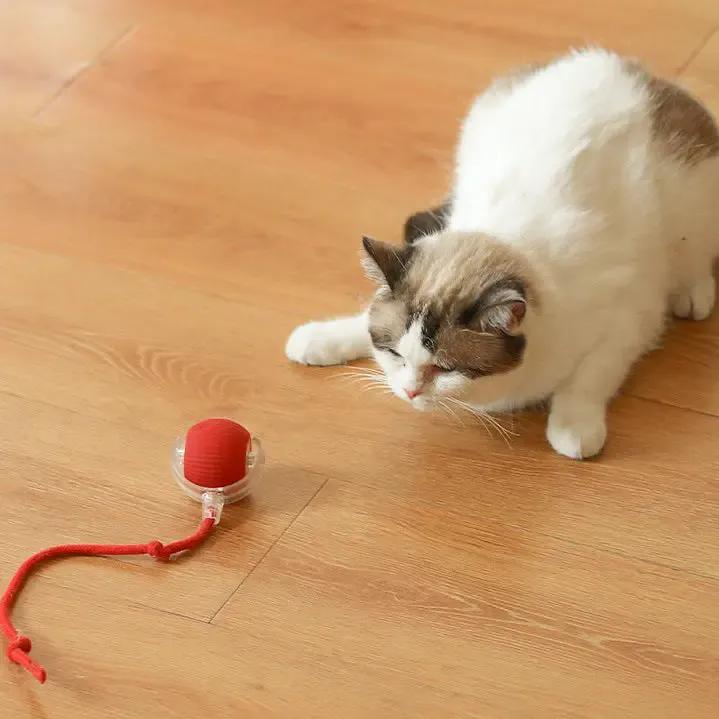 Interactive Rolling Ball for Dogs & Cats – USB Rechargeable Motion-Activated Light-Up Toy